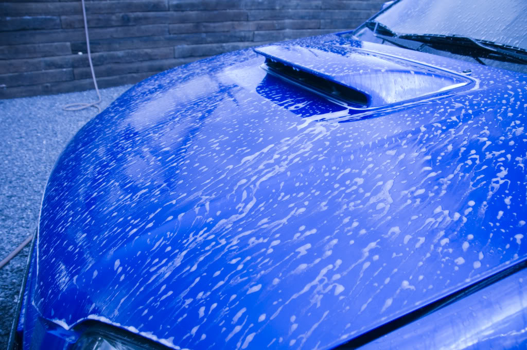 DSC_1083.jpg
