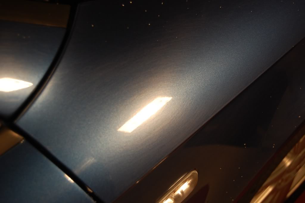 DSC_1151.jpg