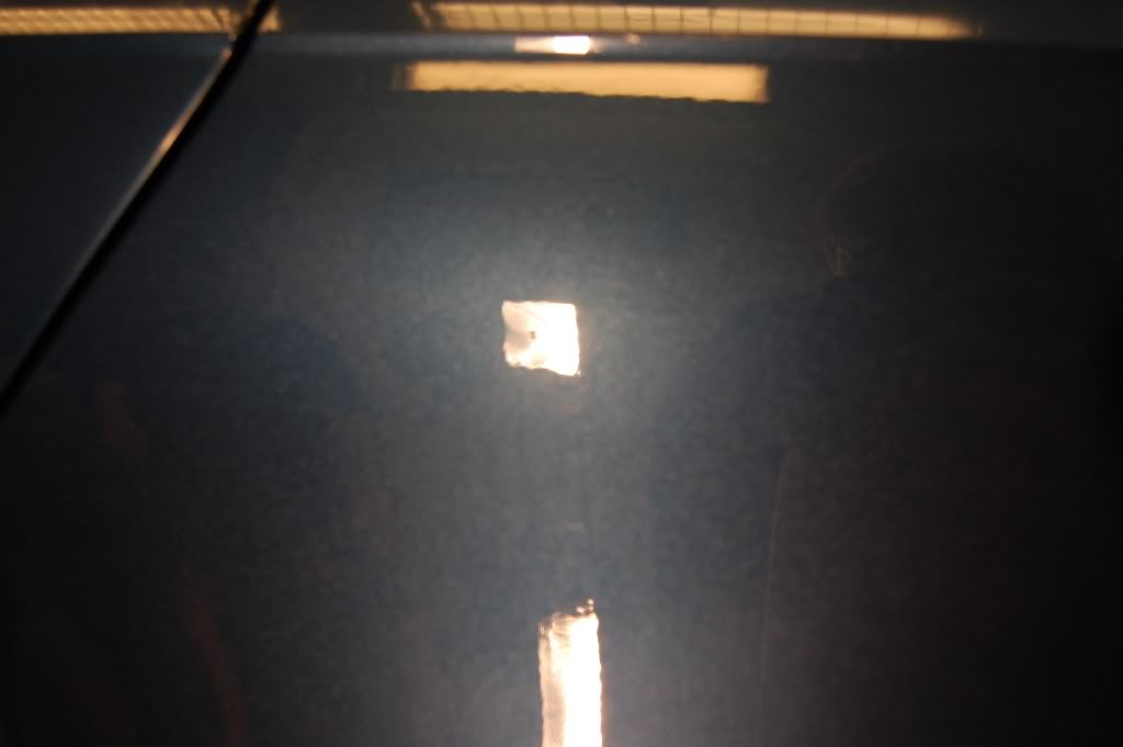 DSC_1196.jpg