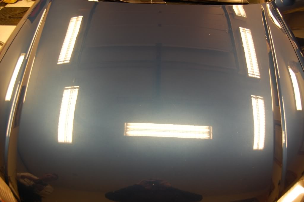 DSC_1247.jpg