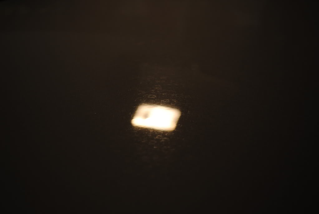 DSC_1296.jpg