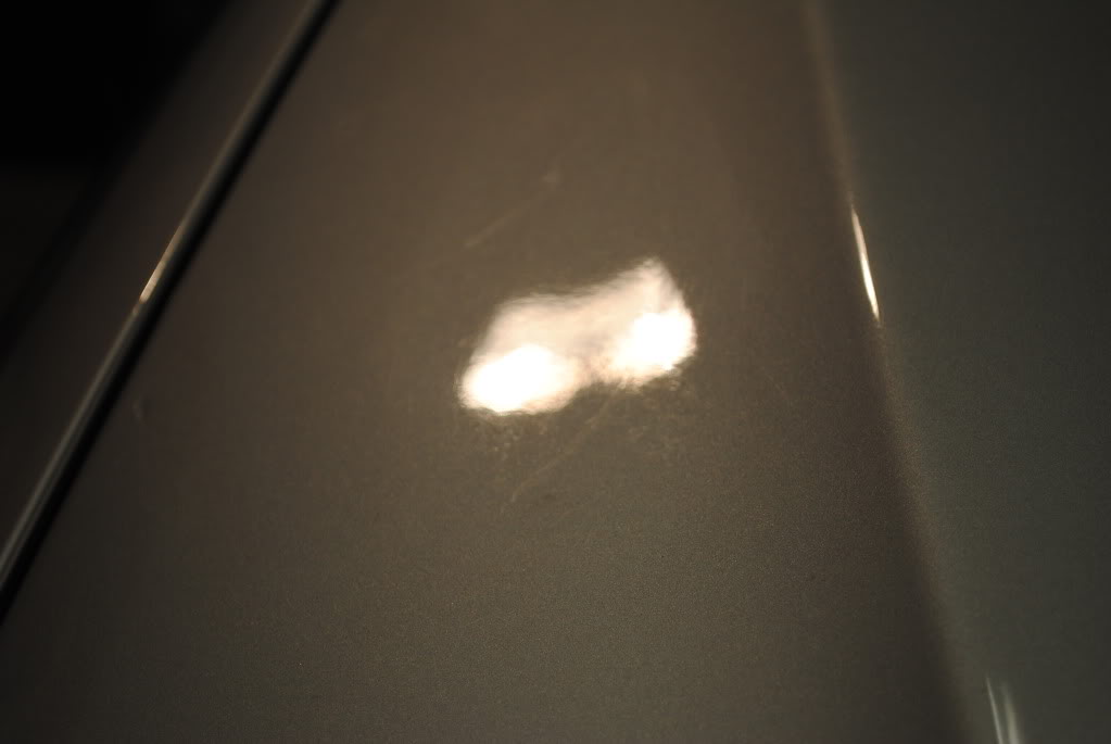 DSC_1305.jpg