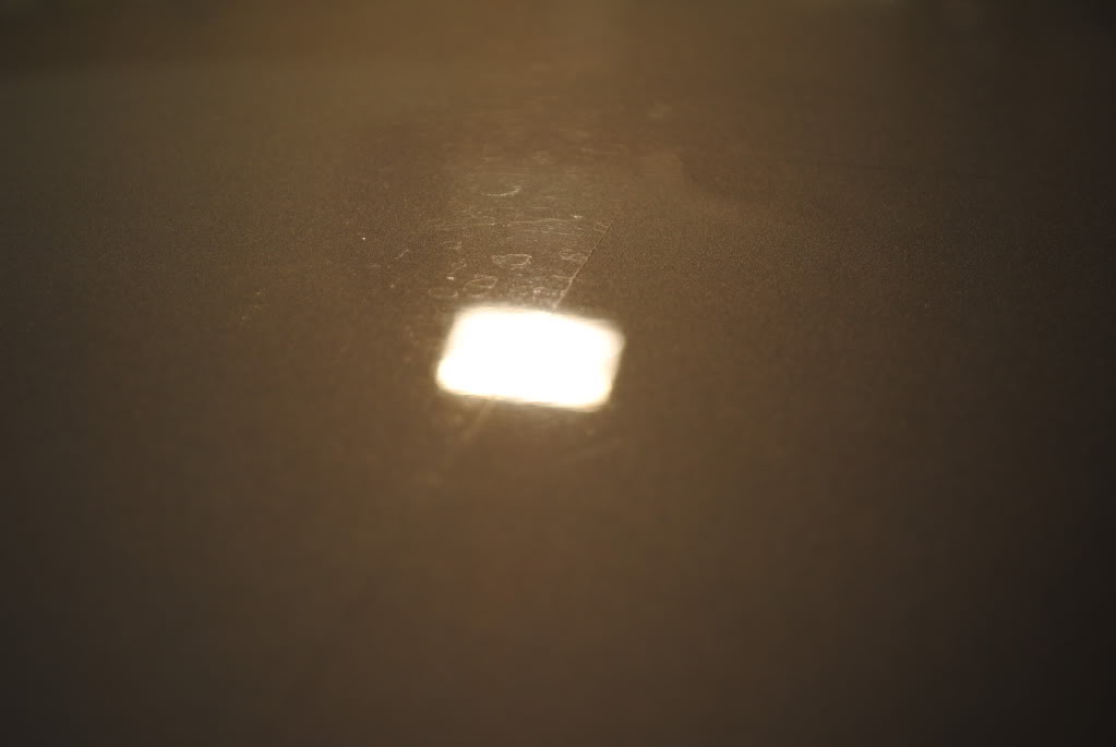 DSC_1333.jpg