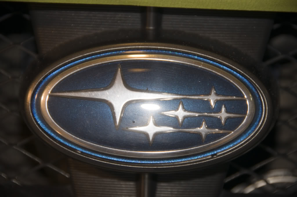 DSC_1345.jpg