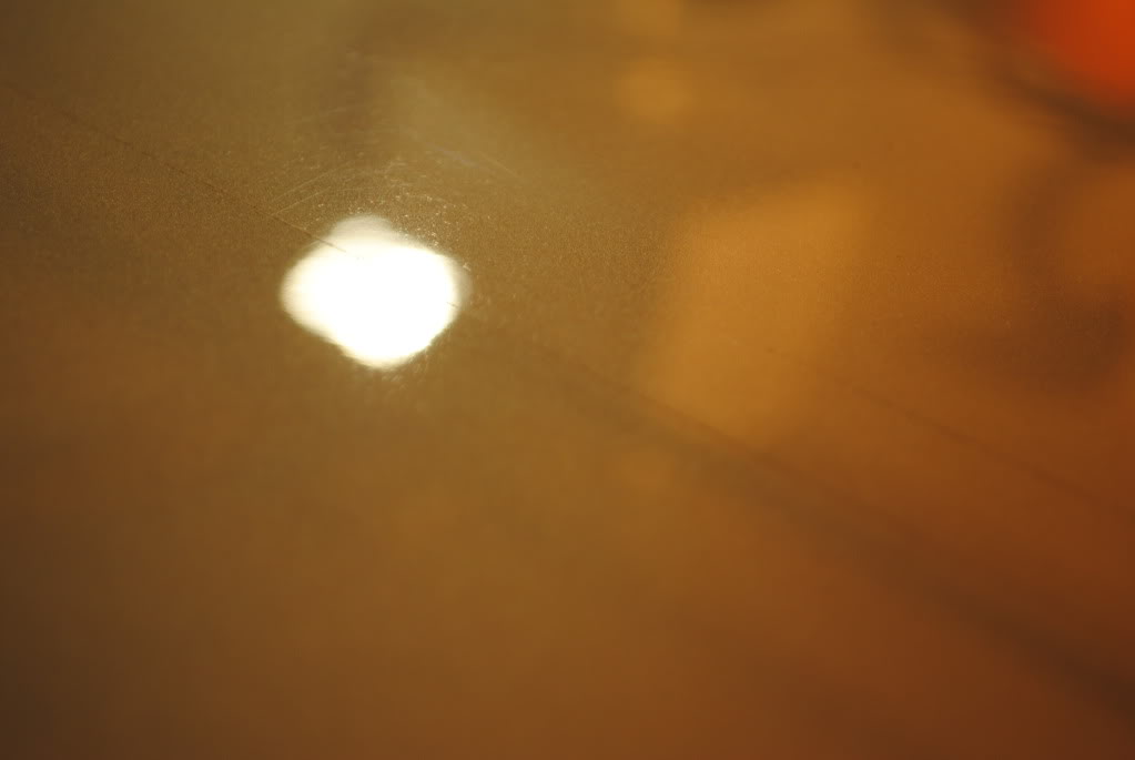 DSC_1373.jpg