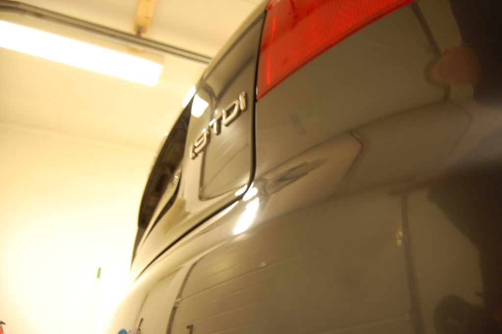 DSC_1445.jpg