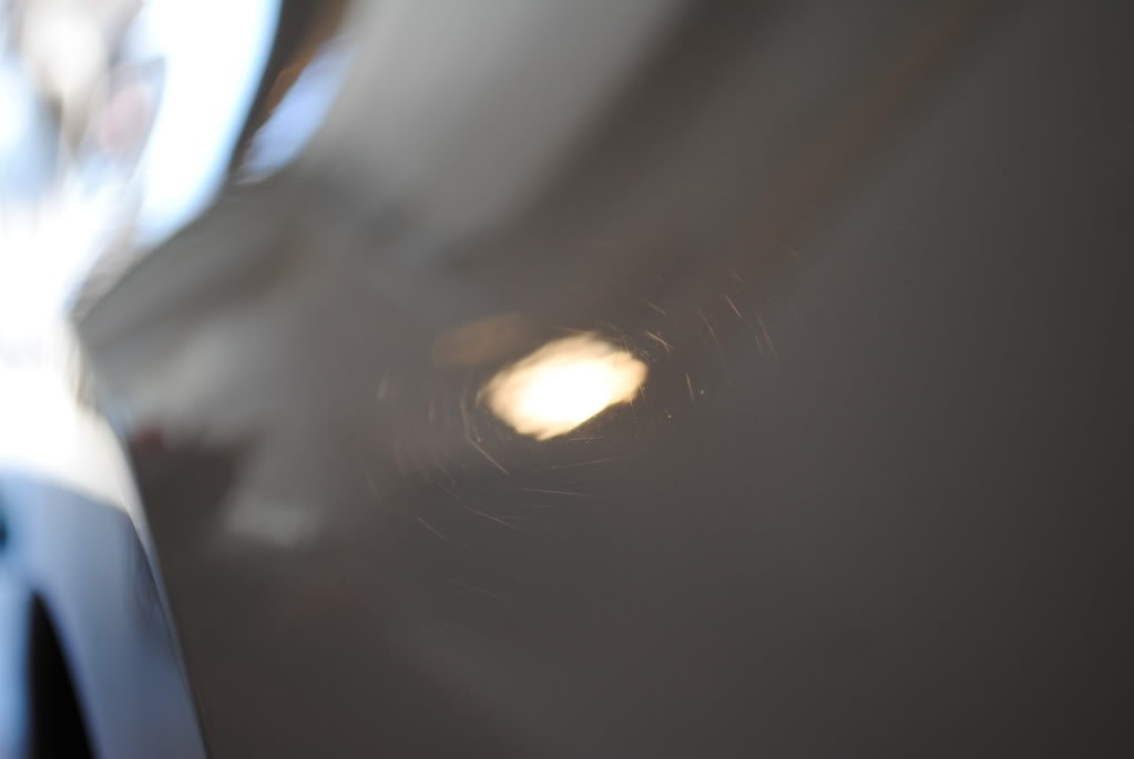 DSC_1469.jpg