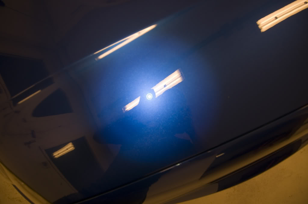DSC_1473.jpg