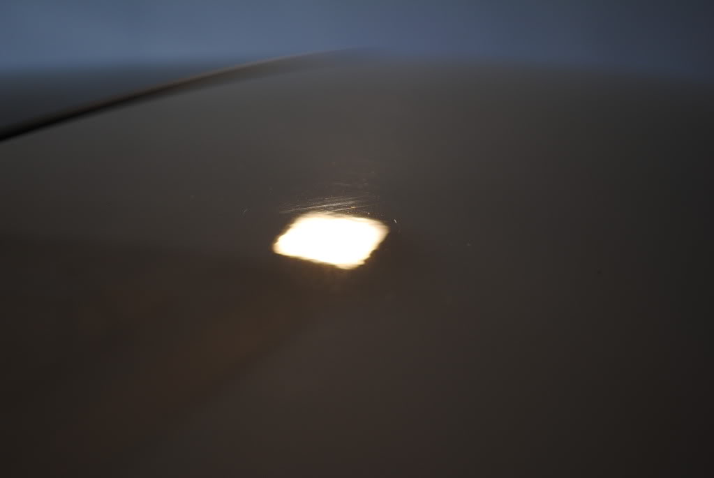 DSC_1473.jpg