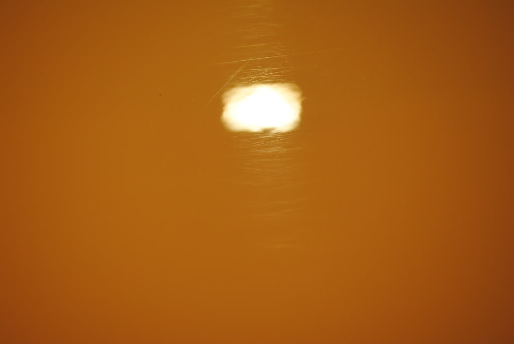 DSC_1527.jpg