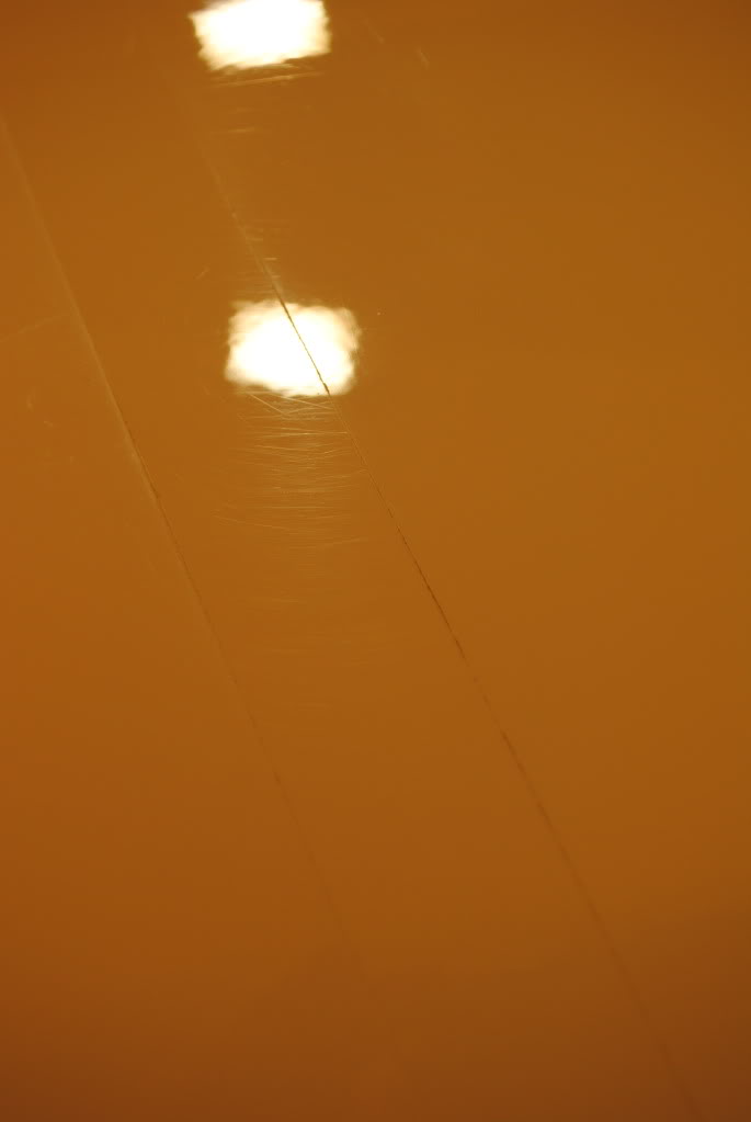 DSC_1528.jpg