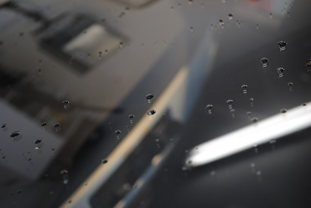 DSC_1587.jpg