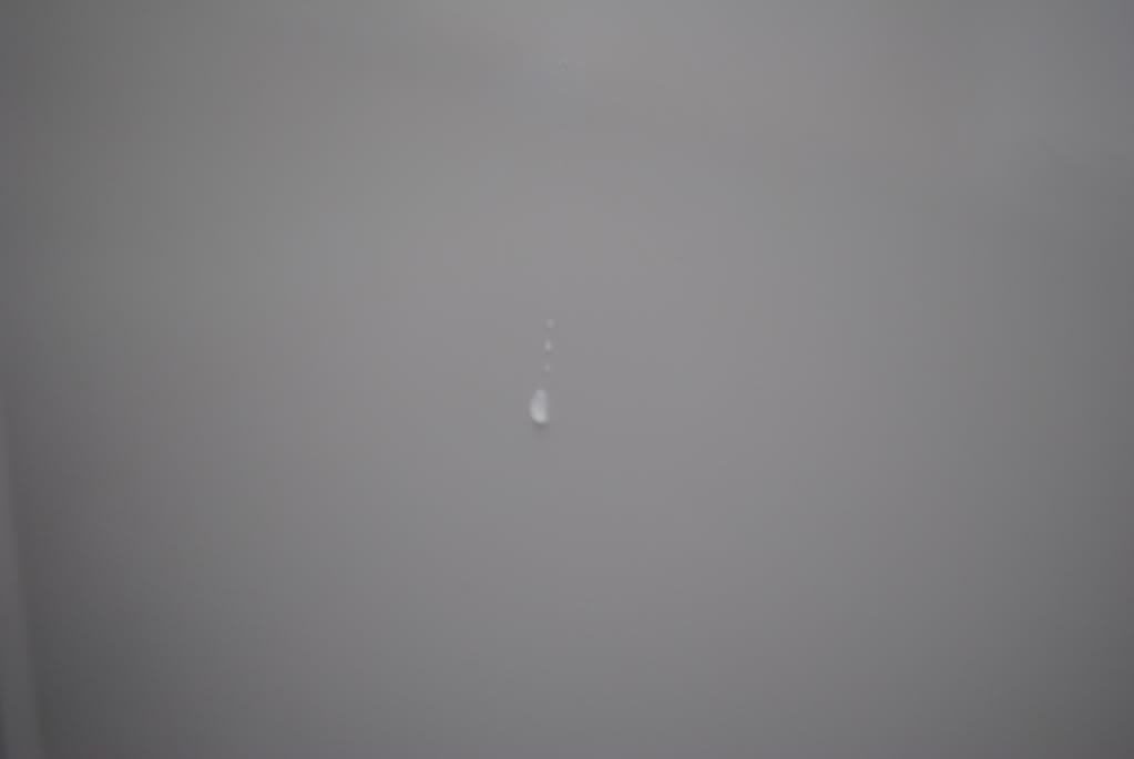 DSC_1613.jpg