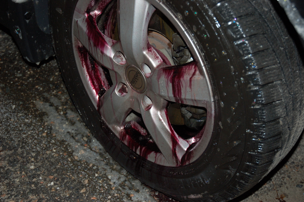 DSC_1906_zps4dc6f5b7.jpg