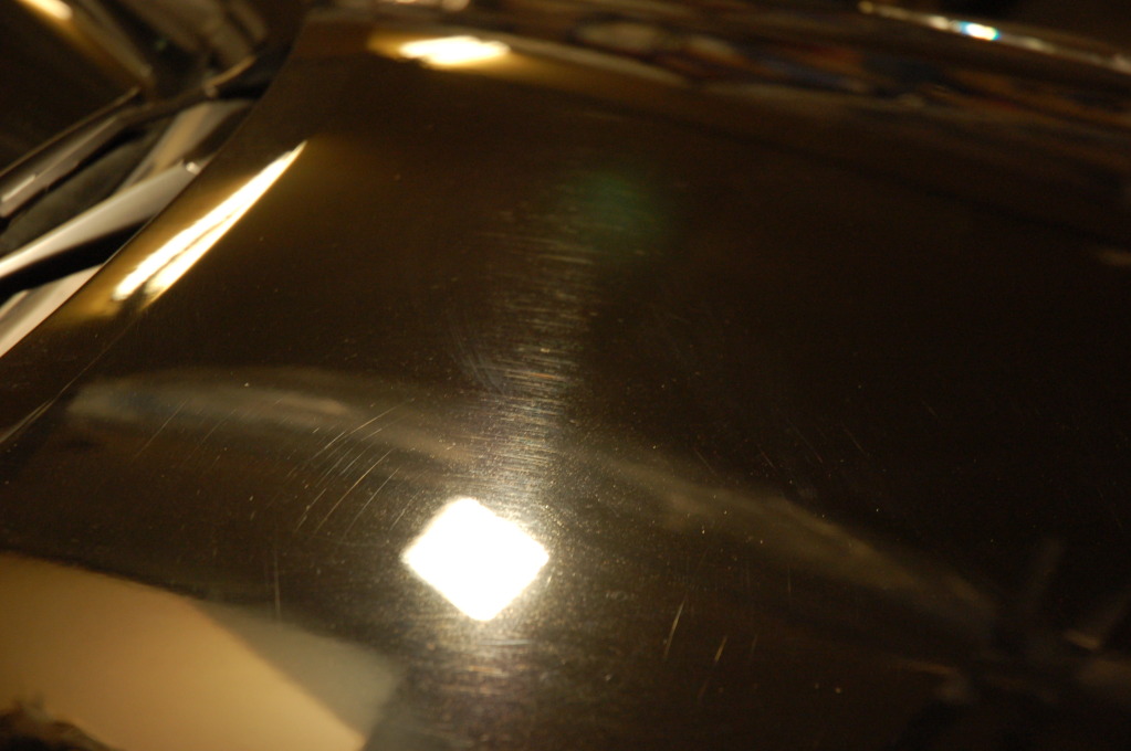 DSC_1925_zps814f1ecb.jpg