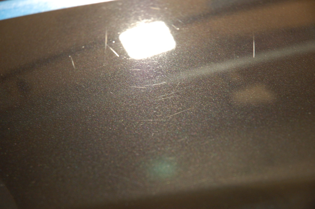 DSC_2008_zps3e7cd3df.jpg