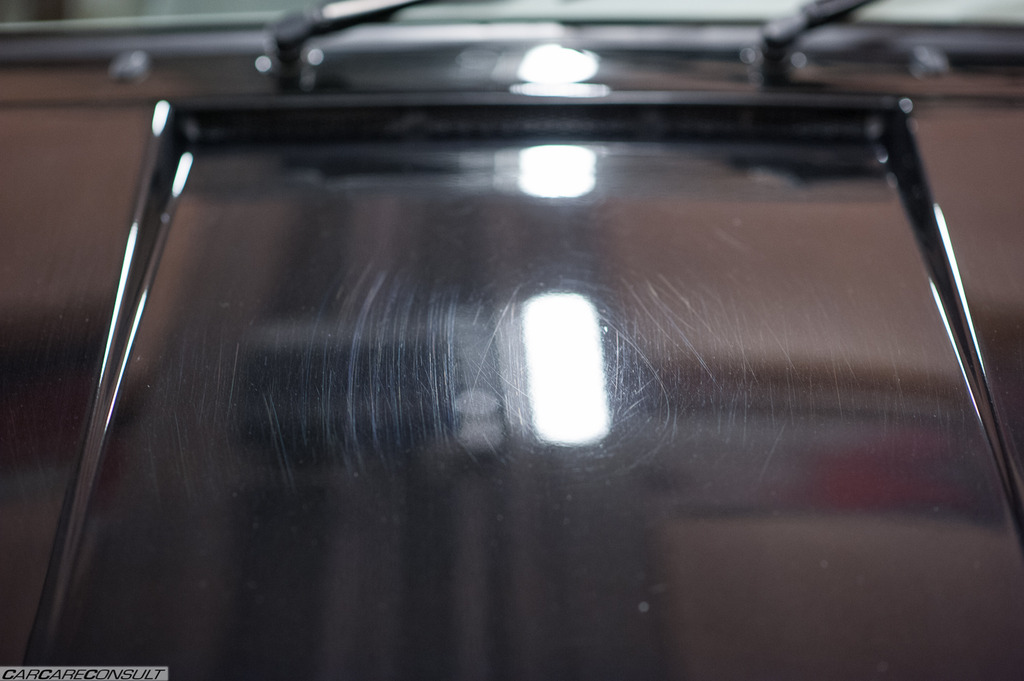 DSC_2167_zpsvf6n4rlj.jpg