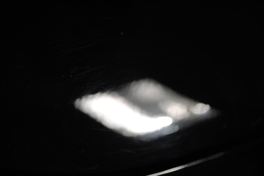 DSC_2377.jpg