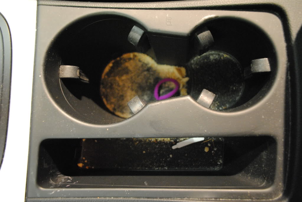 DSC_2548.jpg