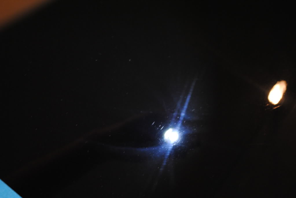 DSC_2553.jpg
