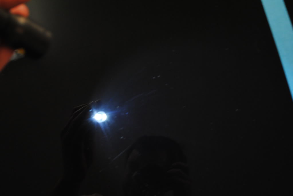 DSC_2557.jpg
