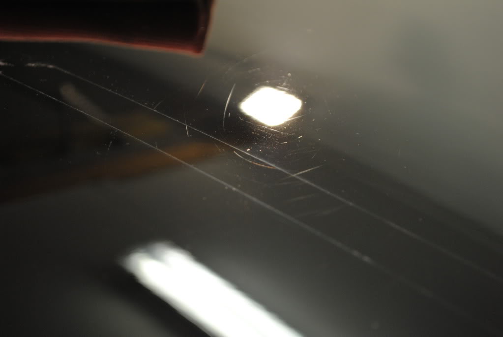 DSC_2569.jpg