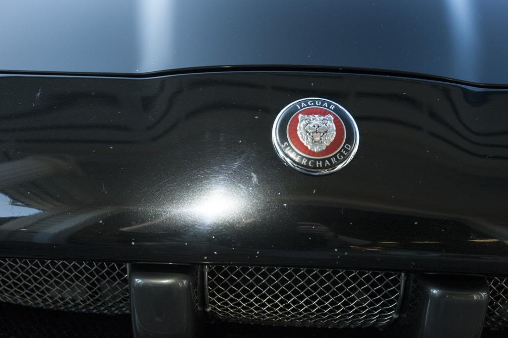 DSC_2608.jpg
