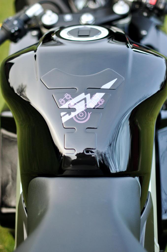 DSC_2647Custom.jpg