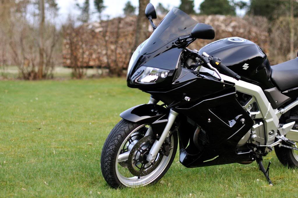 DSC_2662Custom.jpg