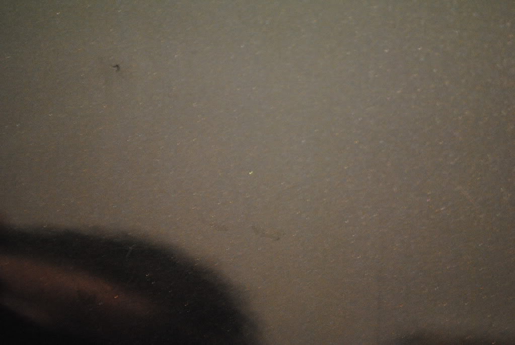 DSC_2703.jpg