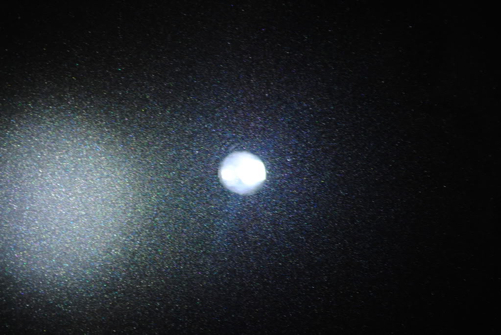 DSC_2746.jpg