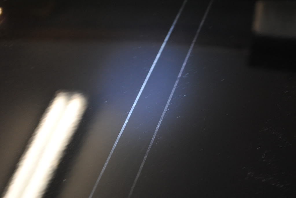 DSC_2753.jpg