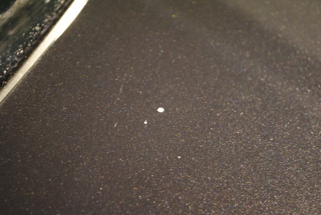 DSC_2848.jpg