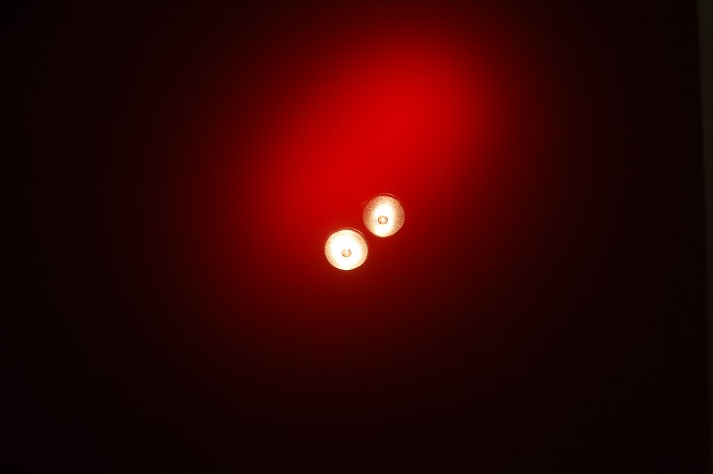 DSC_2875.jpg
