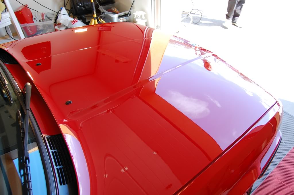 DSC_2929.jpg