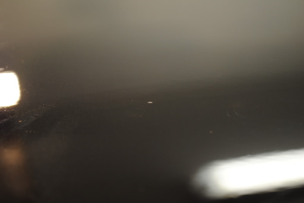 DSC_2931.jpg