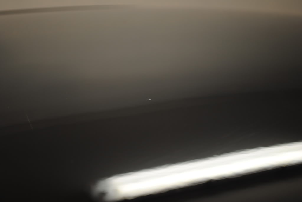 DSC_2934.jpg