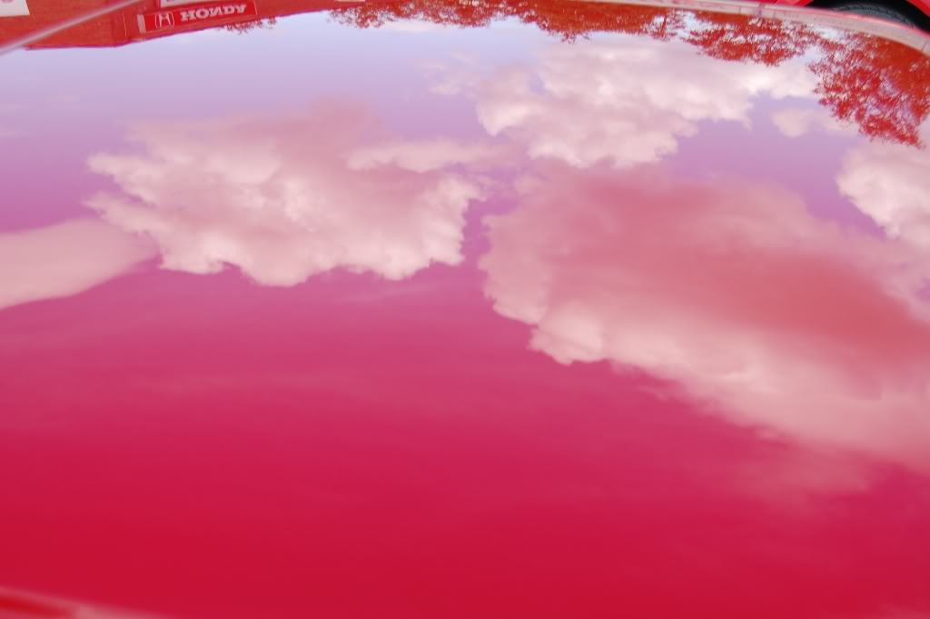 DSC_2970.jpg
