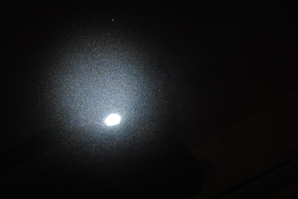 DSC_2978.jpg
