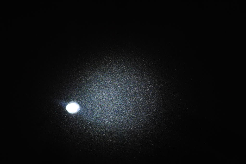 DSC_2979.jpg