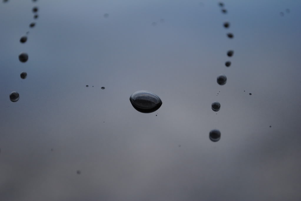 DSC_3056.jpg