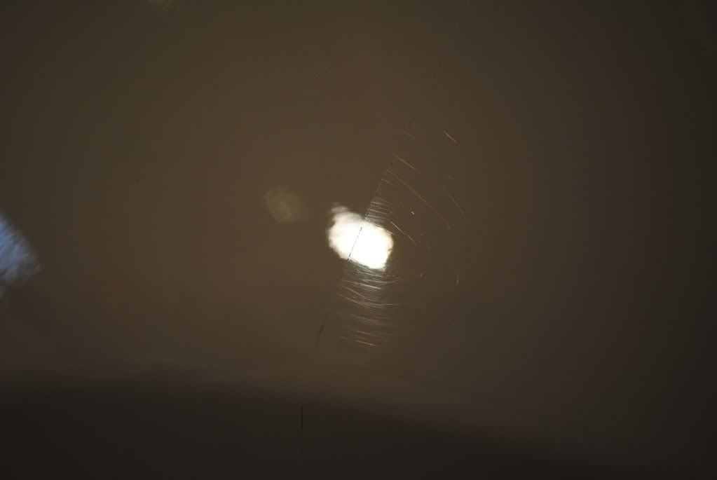 DSC_3401.jpg