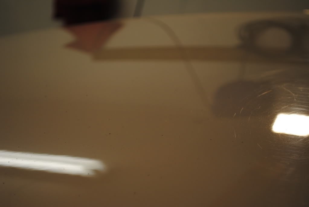 DSC_3422.jpg