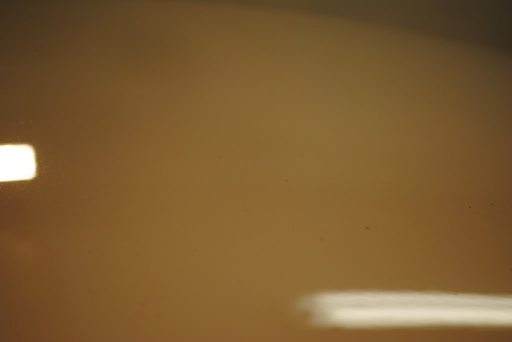 DSC_3424.jpg