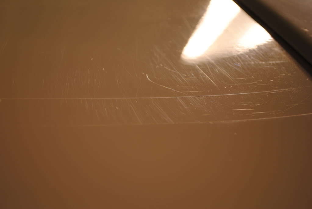DSC_3435.jpg