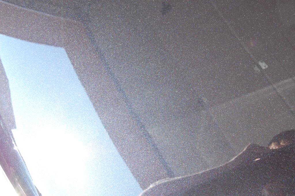 DSC_3973.jpg