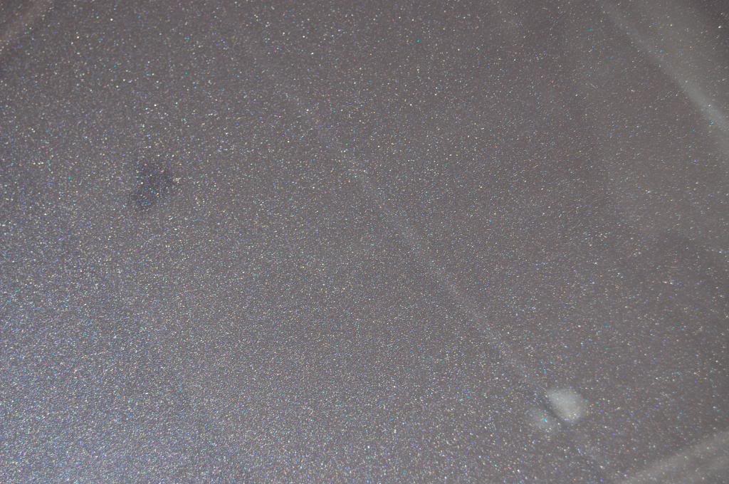 DSC_3977.jpg