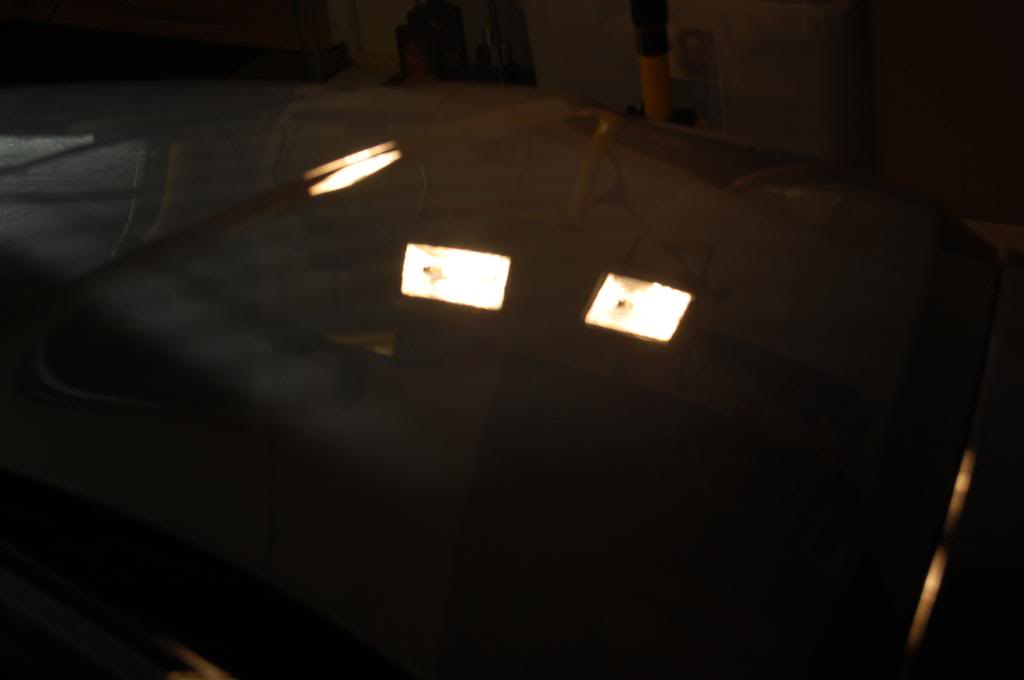 DSC_4298.jpg