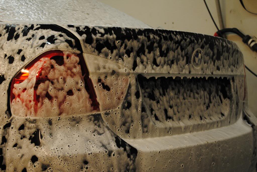 DSC_4385.jpg