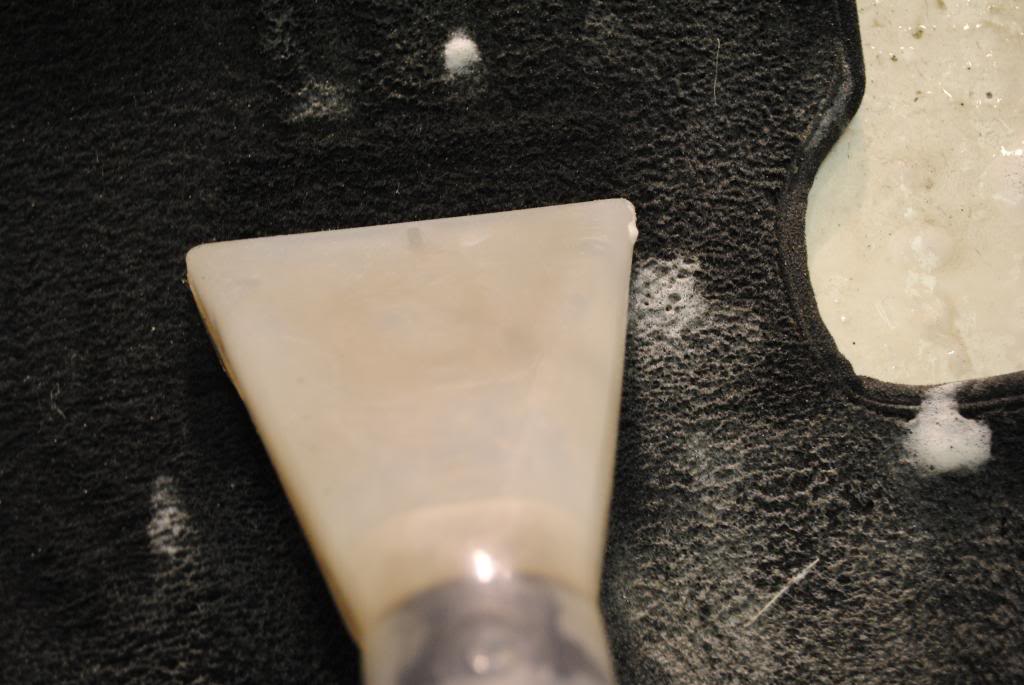 DSC_4541.jpg